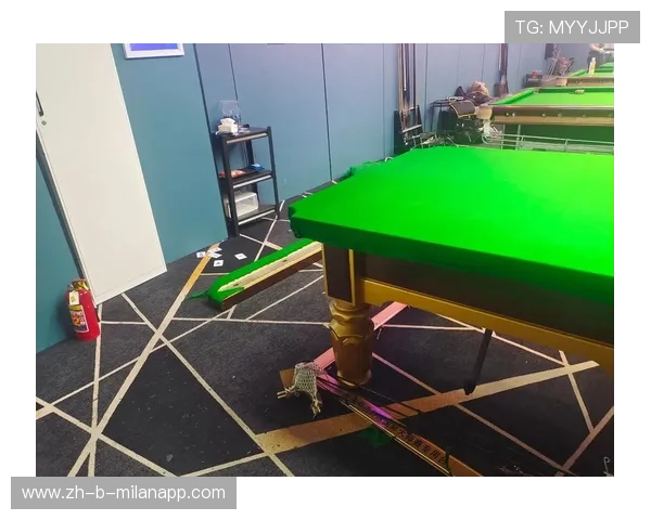 【新手指南】球桌选择与基础技巧入门推荐，球桌是什么意思