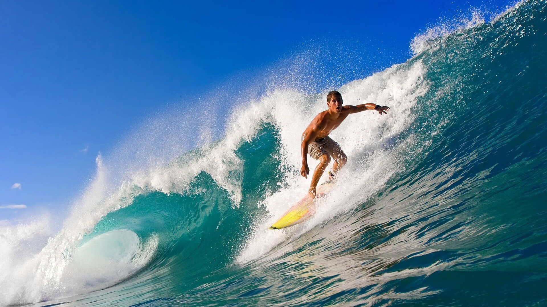 欧冠决赛:利物浦对热刺 “英超内战”上演最高舞台对决